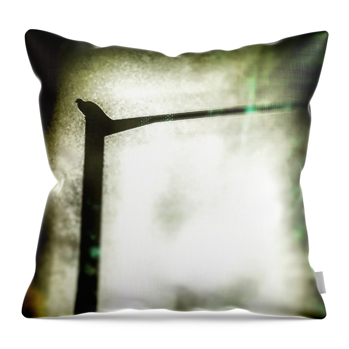 Cute Throw Pillow featuring the photograph #animals #animal #tagsforlikes.com by Jason Roust