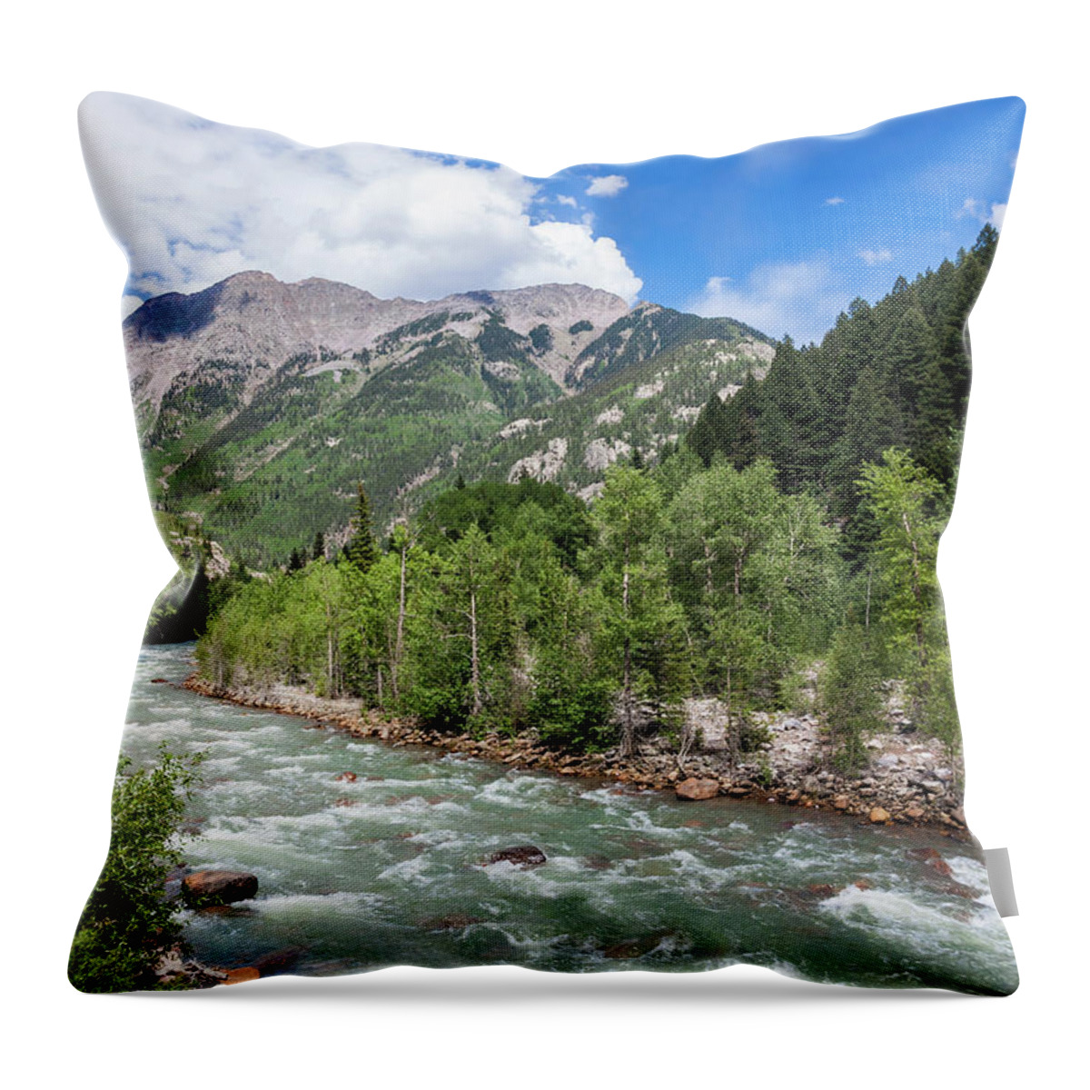 Animas River Throw Pillow featuring the photograph Animas River, Silverton, Colorado by Lon Dittrick
