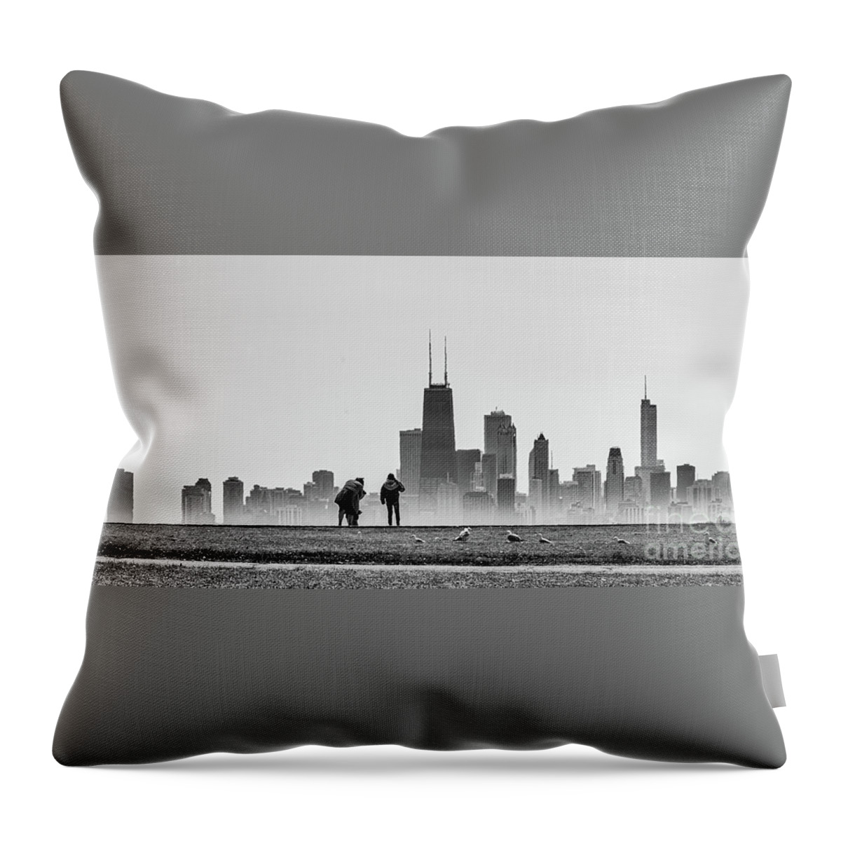 Landscape Throw Pillow featuring the photograph Another View by Charles McCleanon