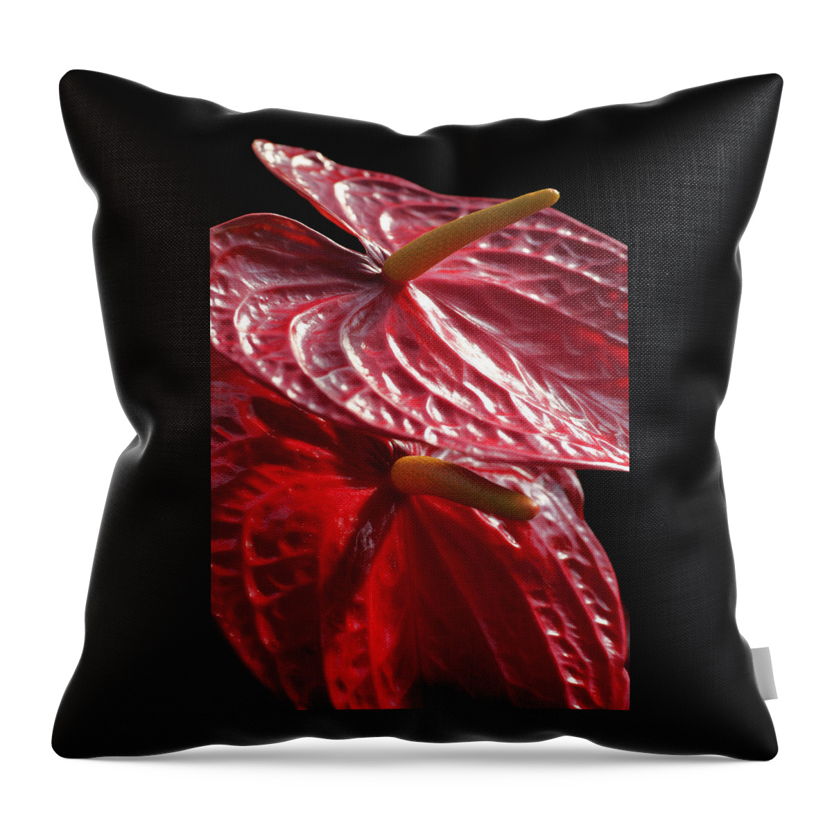 Flower Throw Pillow featuring the photograph Anthurium Flamingo by Tammy Pool