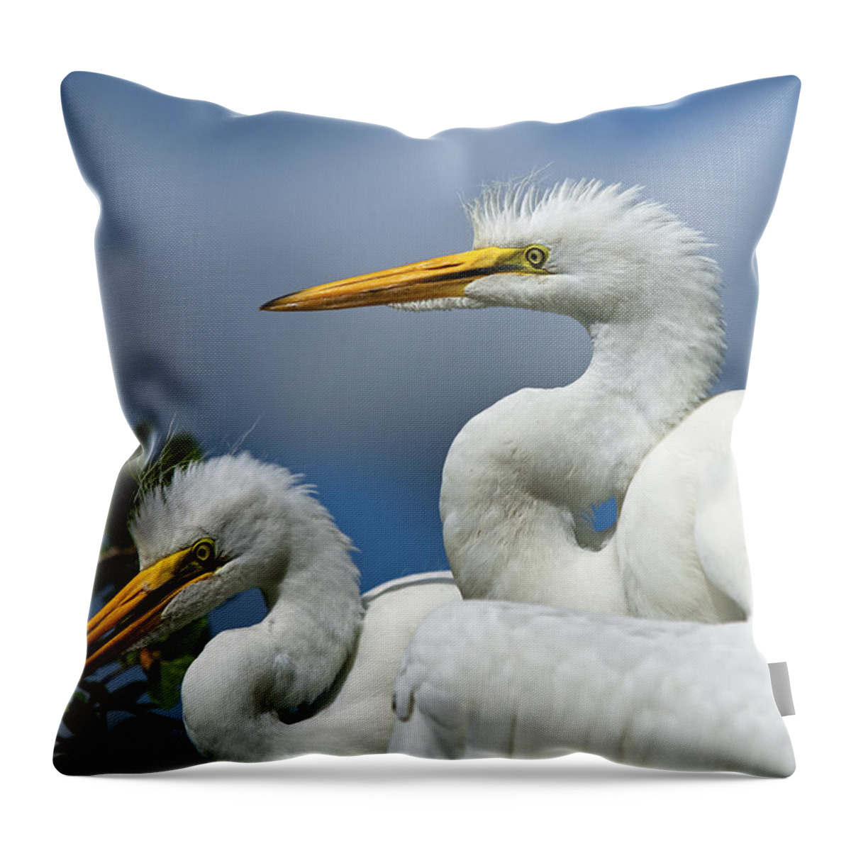 Egret Throw Pillow featuring the photograph Anxiously Waiting by Christopher Holmes