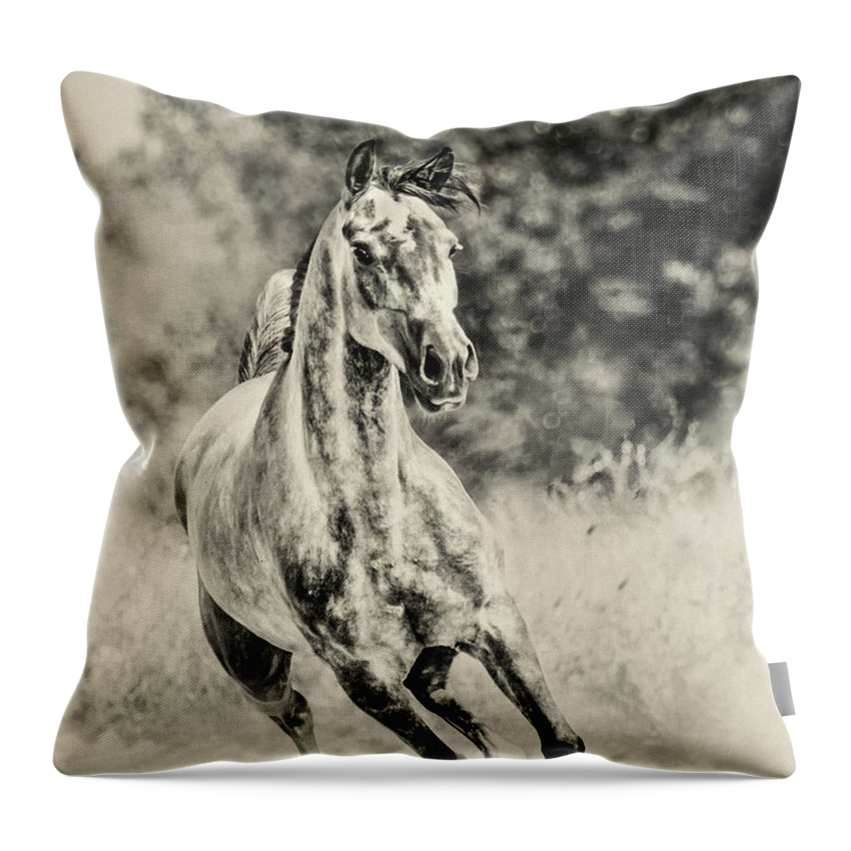 Horse Throw Pillow featuring the photograph Arabian horse running on sunny meadow by Dimitar Hristov