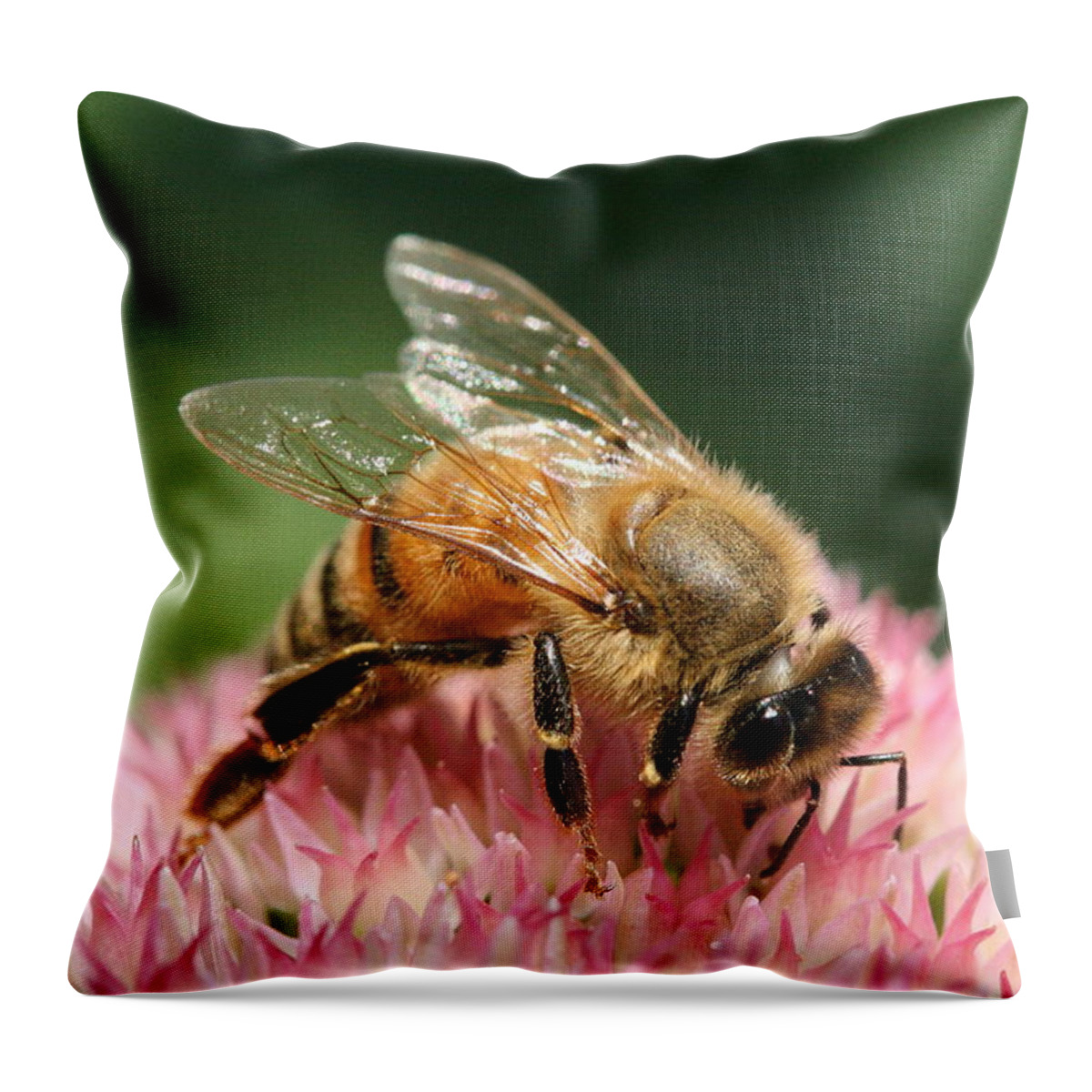 Bee Throw Pillow featuring the photograph Arched by Angela Rath