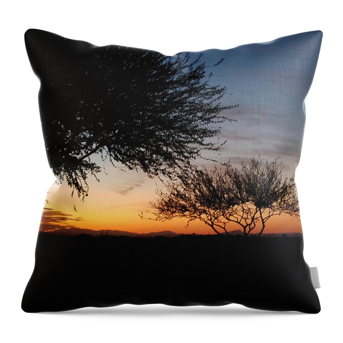 Arizona Throw Pillow featuring the photograph Arizona Sunset by Vic Ritchey
