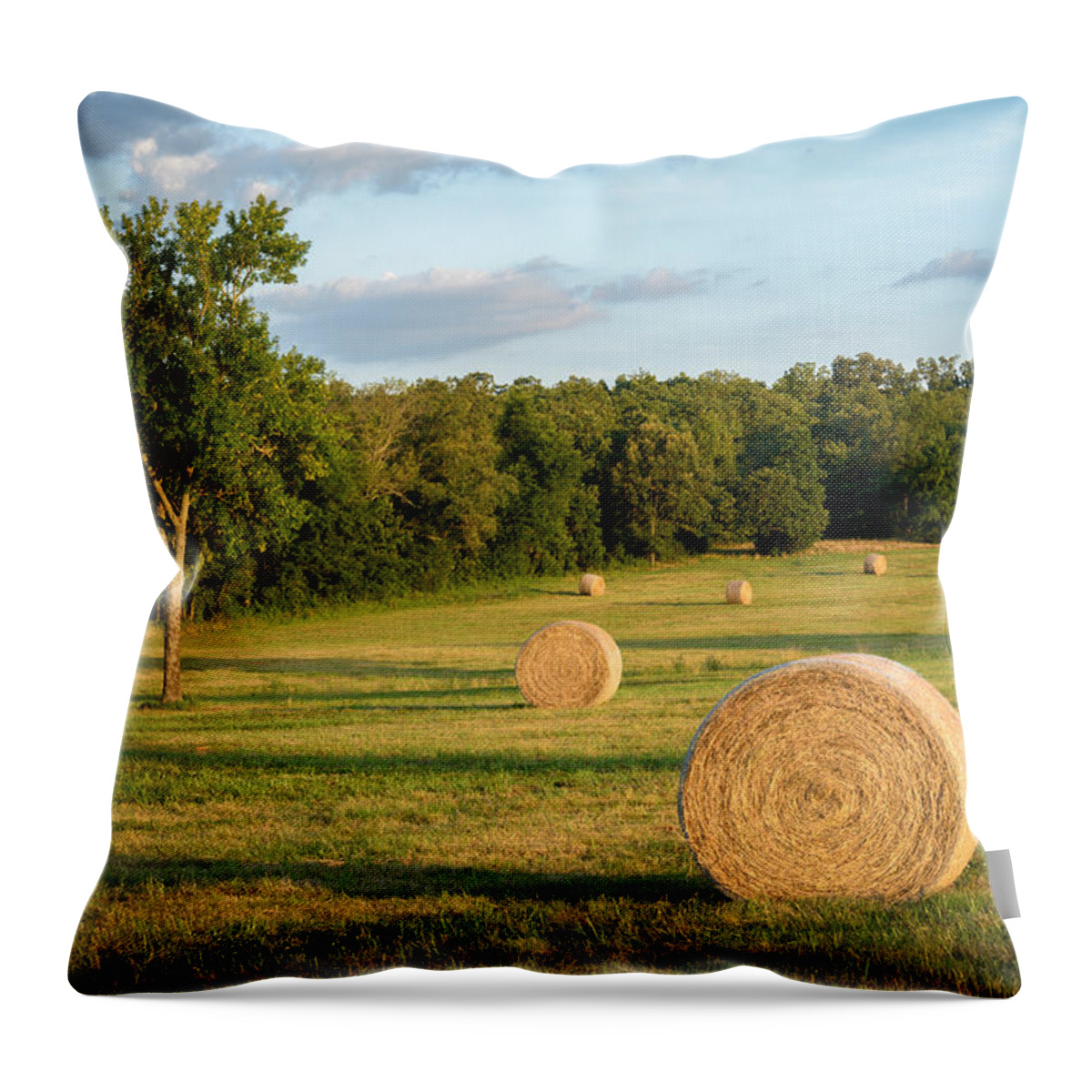 Hay Throw Pillow featuring the photograph Arkansas Hayfield by James Barber