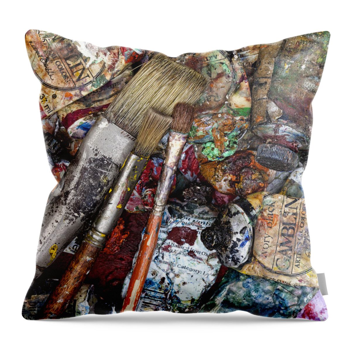 Art Throw Pillow featuring the photograph Art Is Messy 5 by Carol Leigh