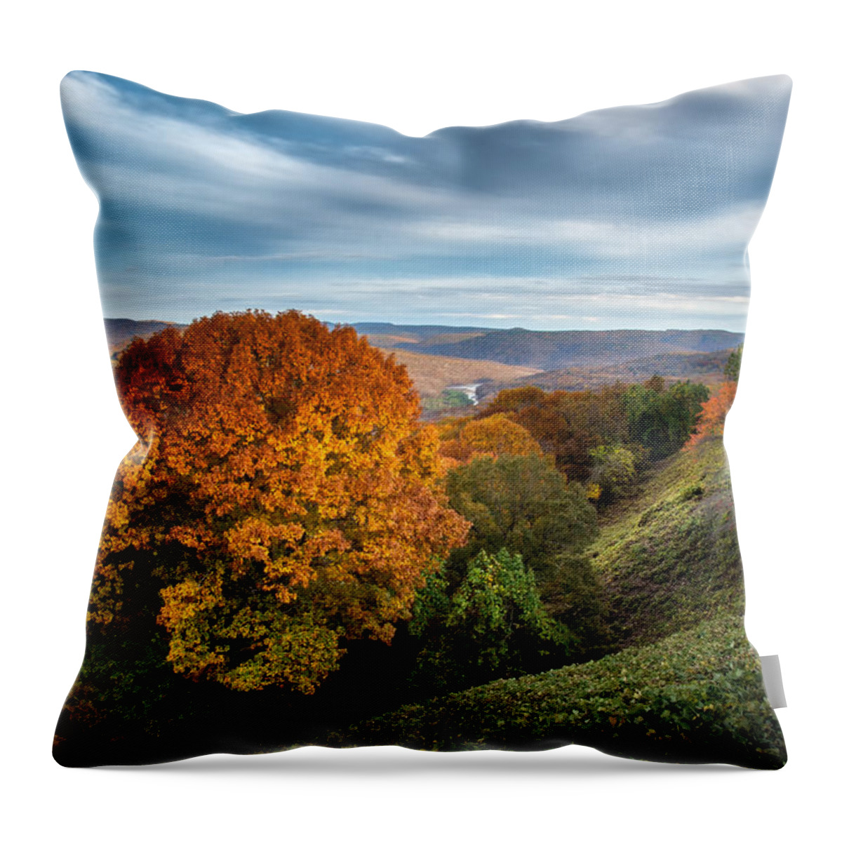 Arkansas Throw Pillow featuring the photograph Artist Point by James Barber