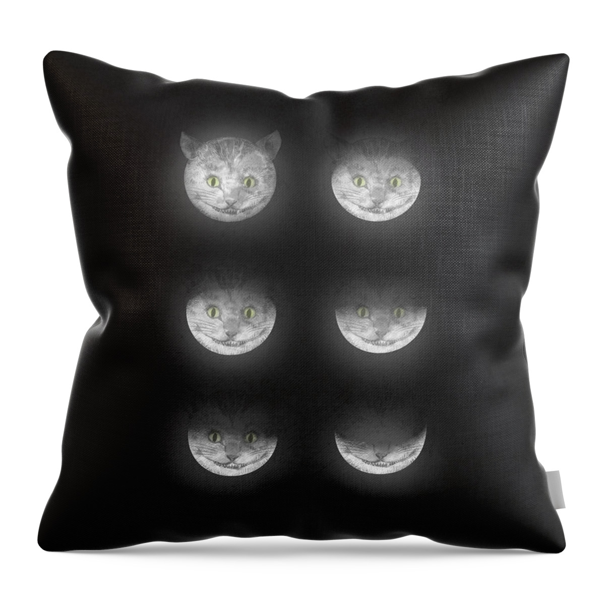Cats Throw Pillow featuring the drawing Waning Cheshire by Eric Fan