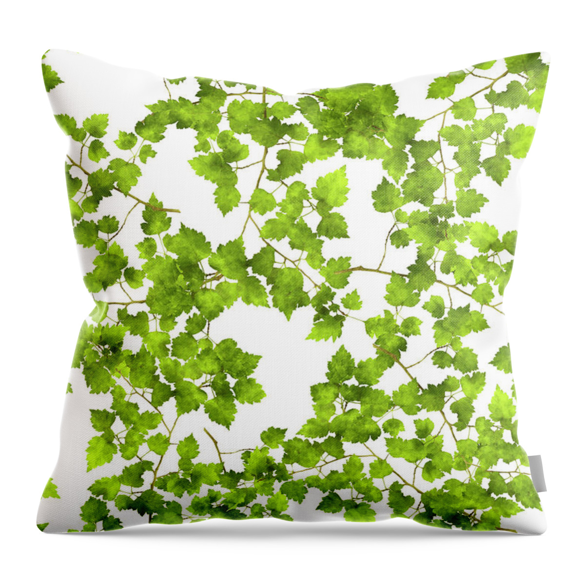 Leaves Throw Pillow featuring the mixed media Hawthorn Pressed Leaf Art by Christina Rollo