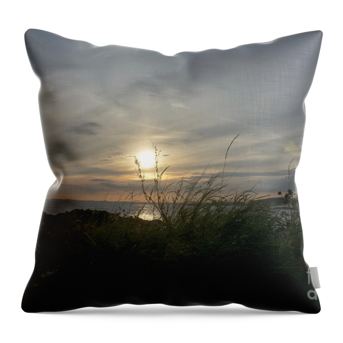 Setting Sun Throw Pillow featuring the photograph As grass under the sun by Elena Perelman