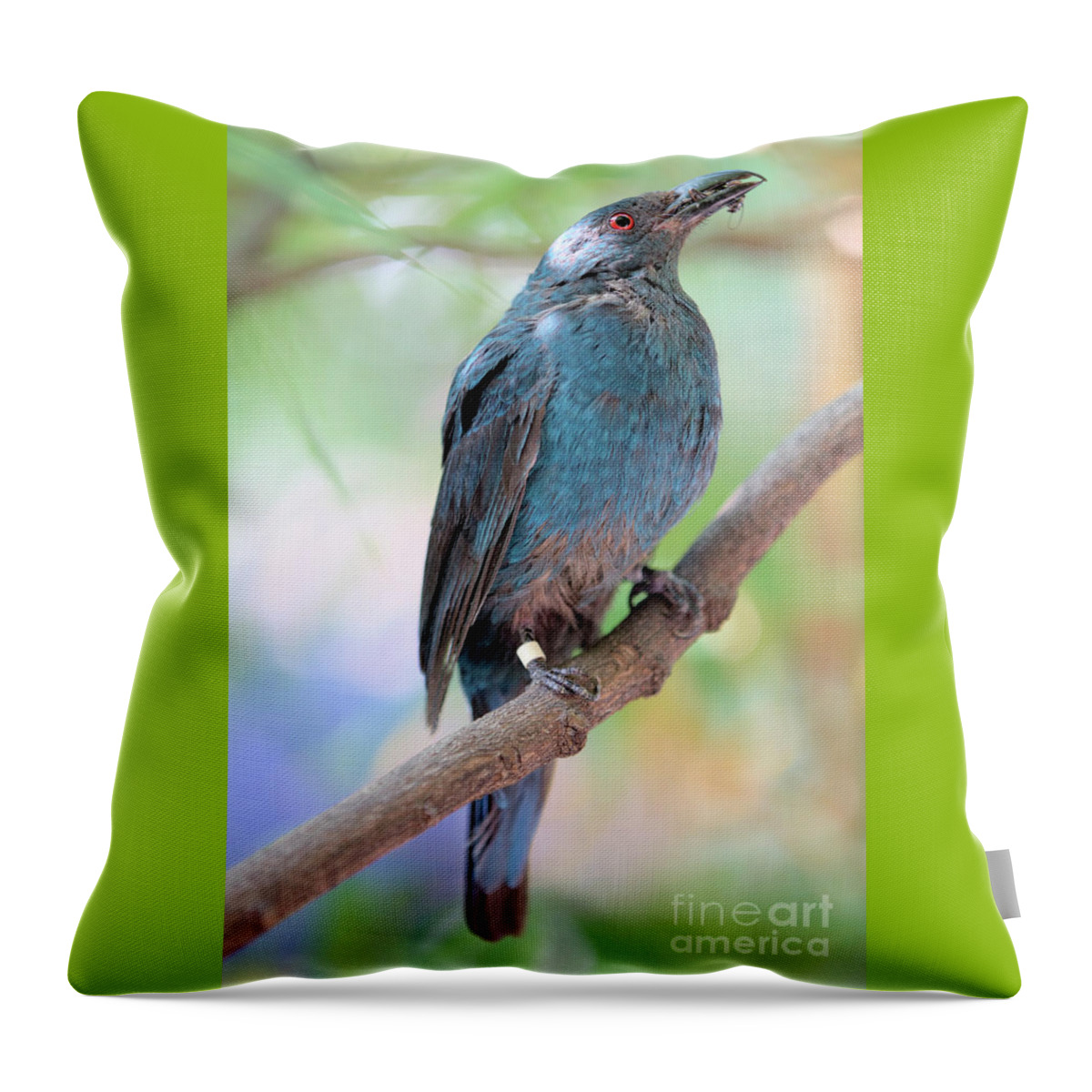 Bird Throw Pillow featuring the photograph Asian Fairy Bluebird by Baggieoldboy