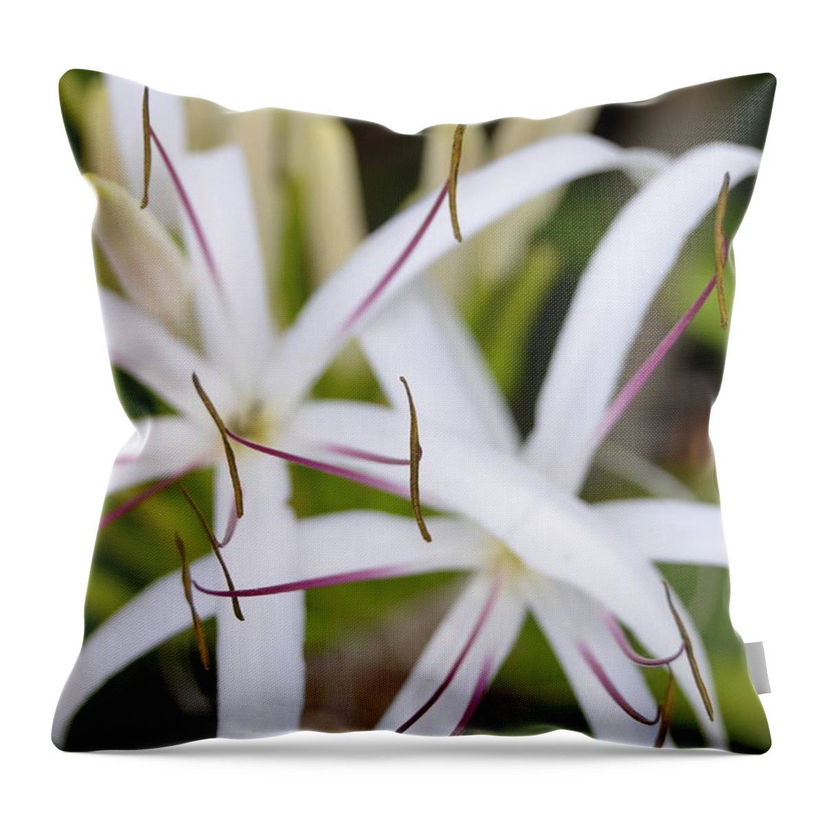 Kauai Throw Pillow featuring the photograph Asiatic Poison Lily 2 by Amy Fose