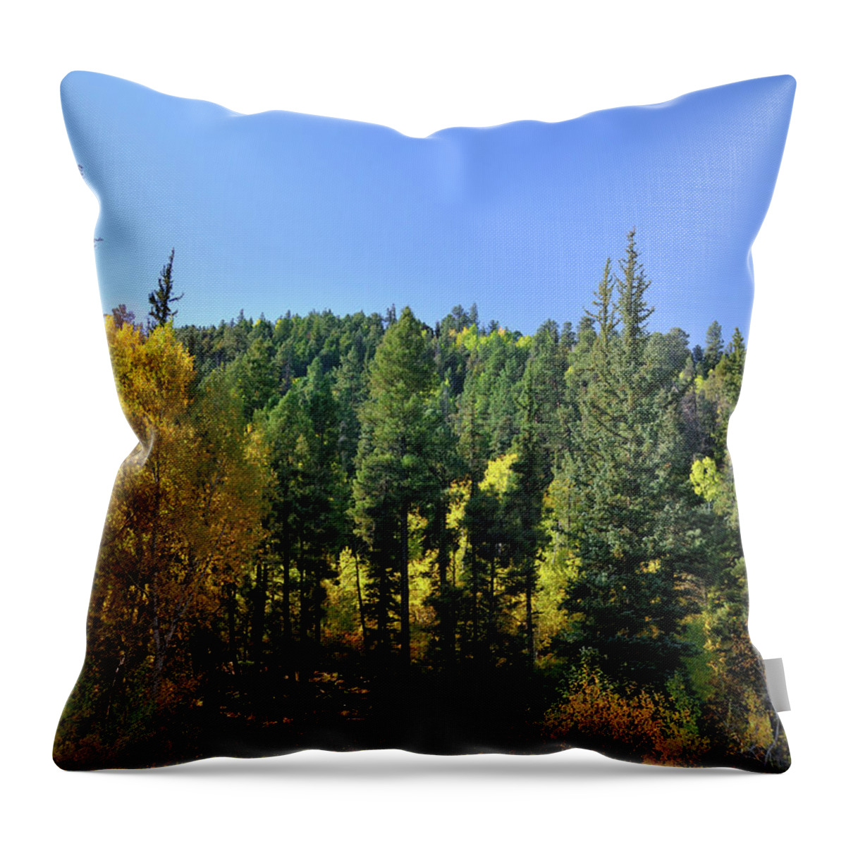 Landscape Throw Pillow featuring the photograph Aspen And Cottonwood In Concert by Ron Cline