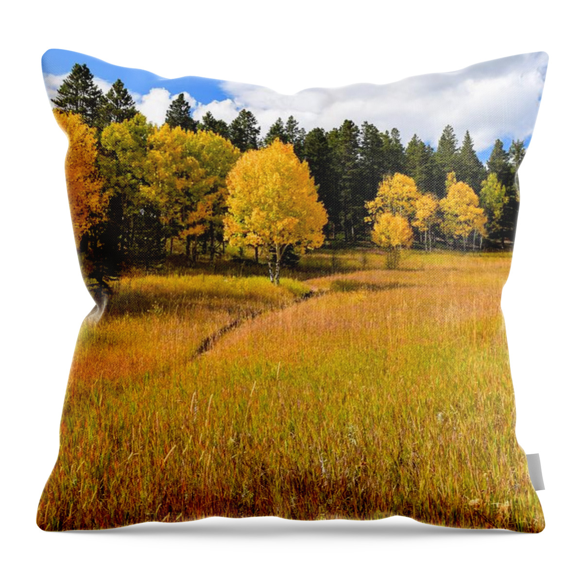Aspen Meadow Throw Pillow featuring the photograph Aspen Meadow by Michael Brungardt