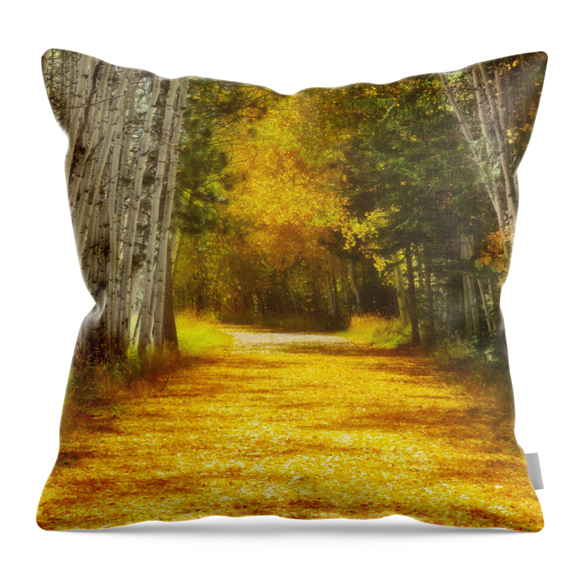 Aspens Throw Pillow featuring the photograph Say You'll Follow Me by Amanda Smith