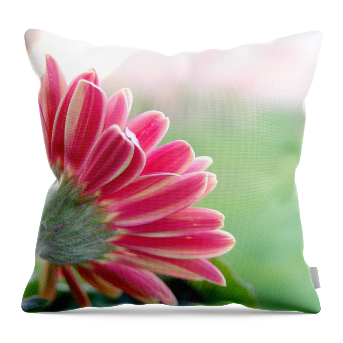 Flower Throw Pillow featuring the photograph Aspiring by Amy Fose