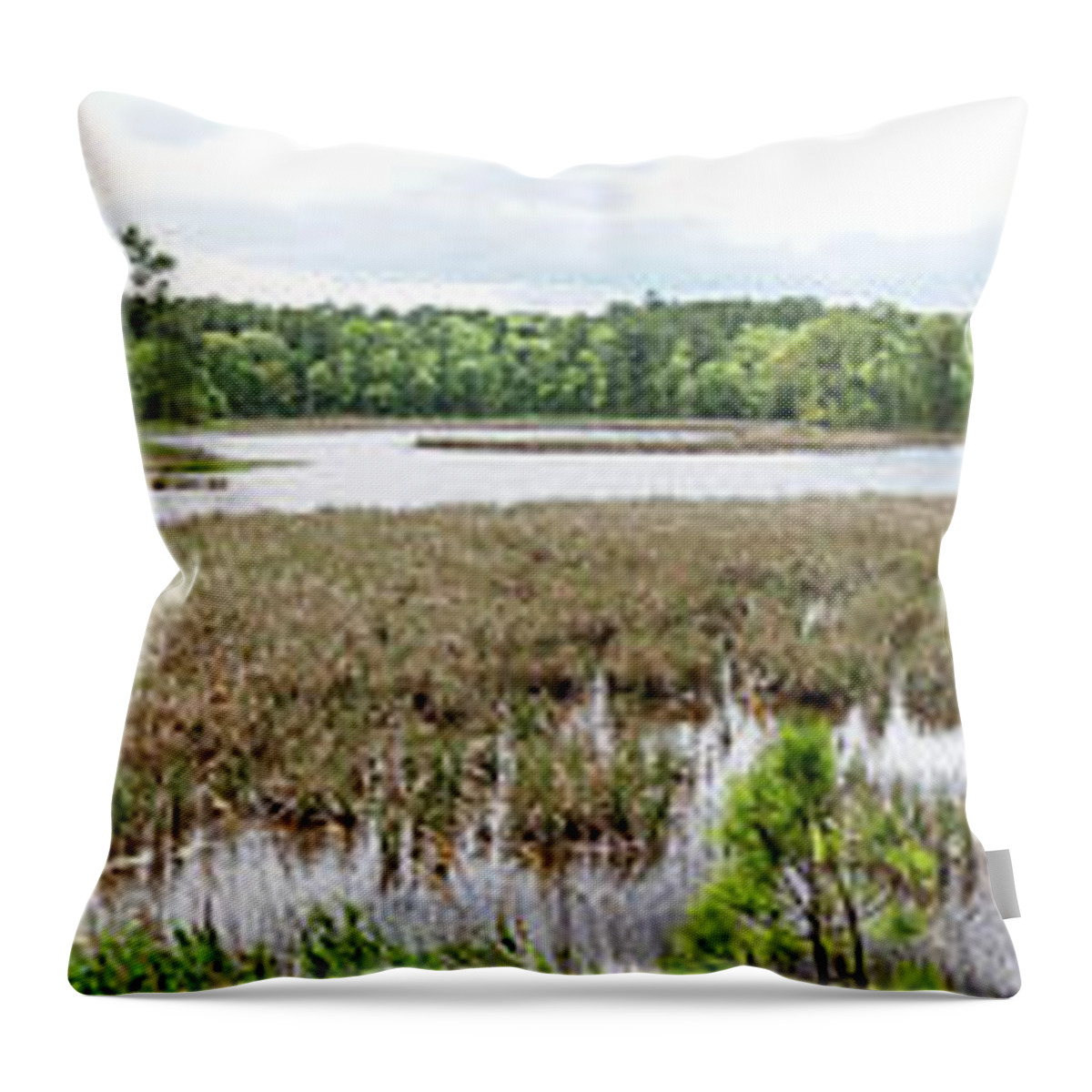 De Throw Pillow featuring the photograph Assawoman Wildlife Area, Marsh #05368 by Raymond Magnani