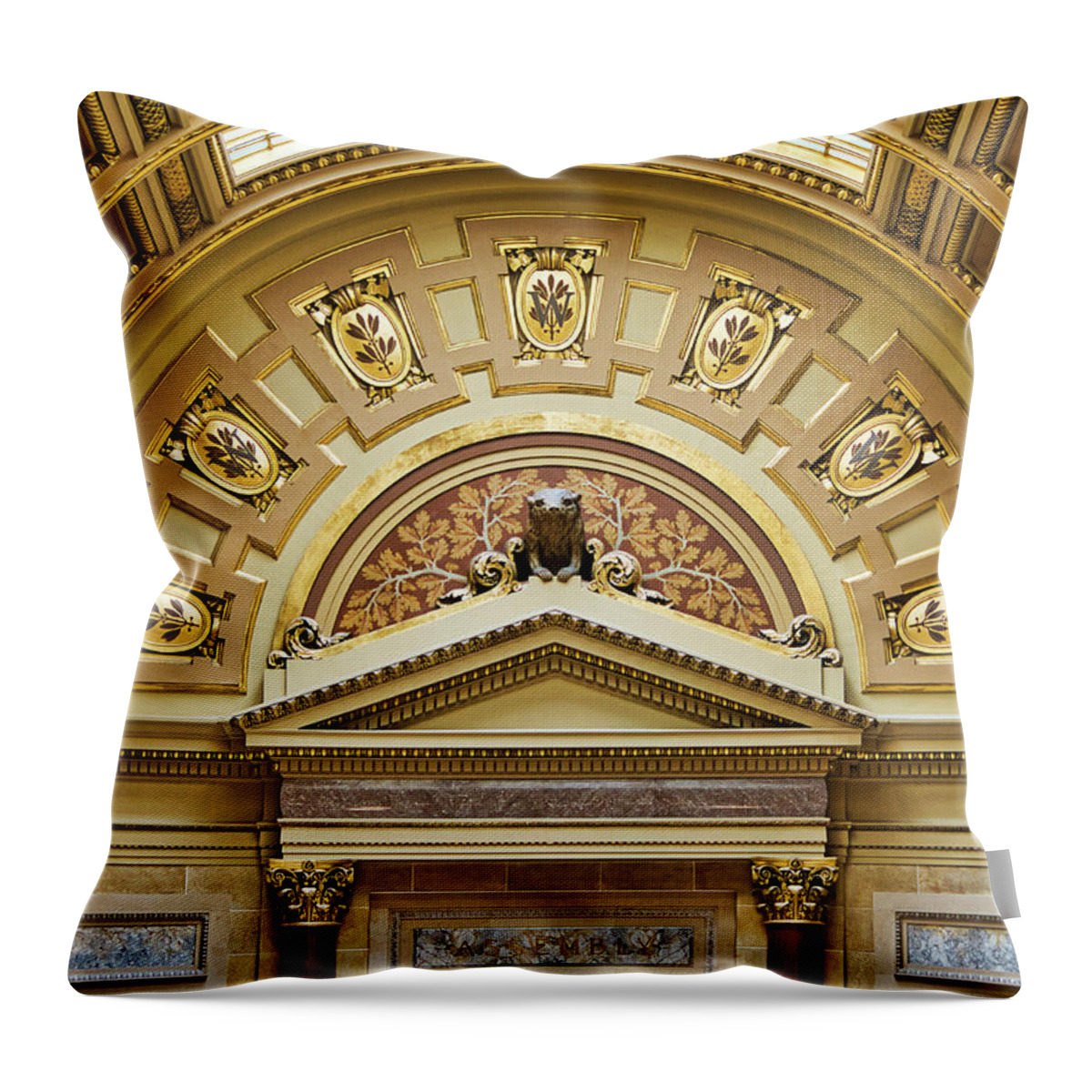 Wisconsin Throw Pillow featuring the photograph Assembly Entrance - Capitol - Madison - Wisconsin by Steven Ralser