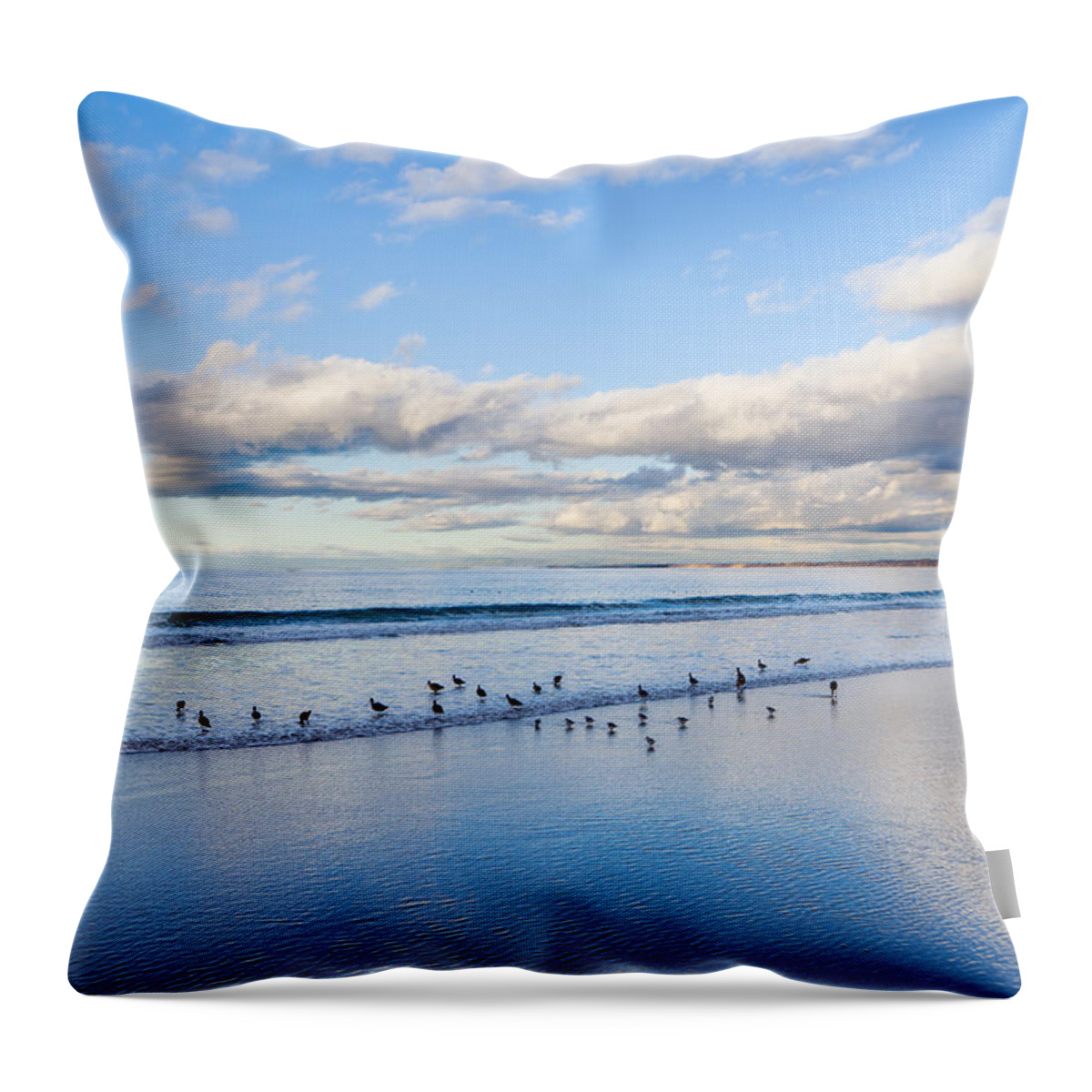 Monterey Throw Pillow featuring the photograph At the Water's Edge by Derek Dean