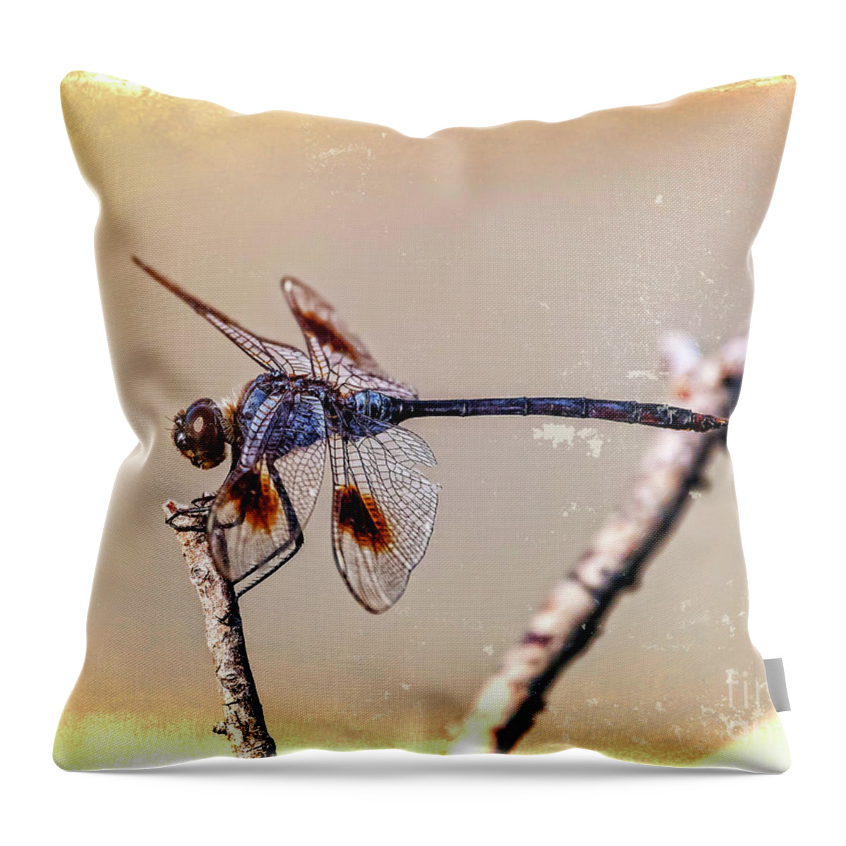 Dragonflies Throw Pillow featuring the digital art Attached by DB Hayes