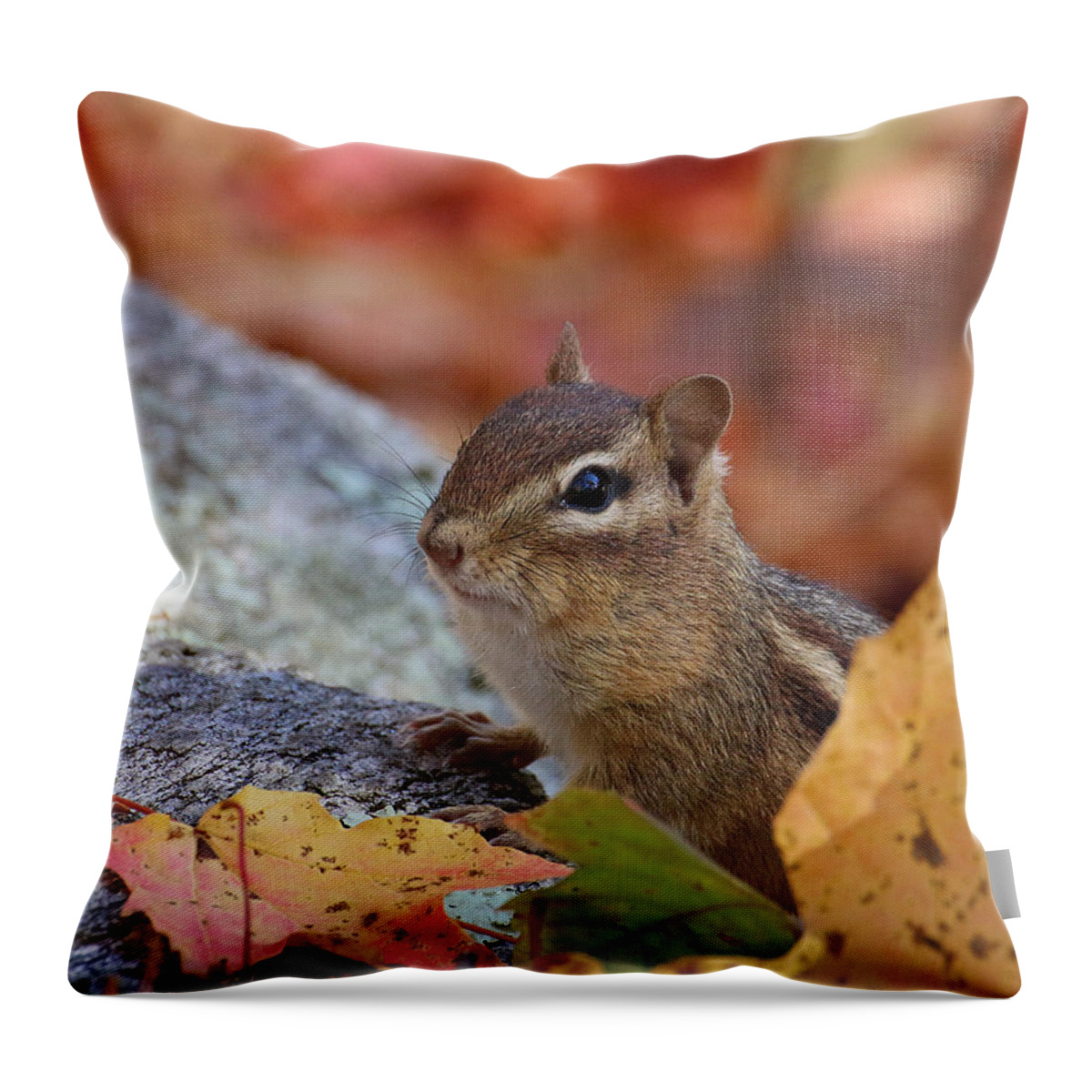 Wildlife Throw Pillow featuring the photograph Autumn Chipmunk by William Selander