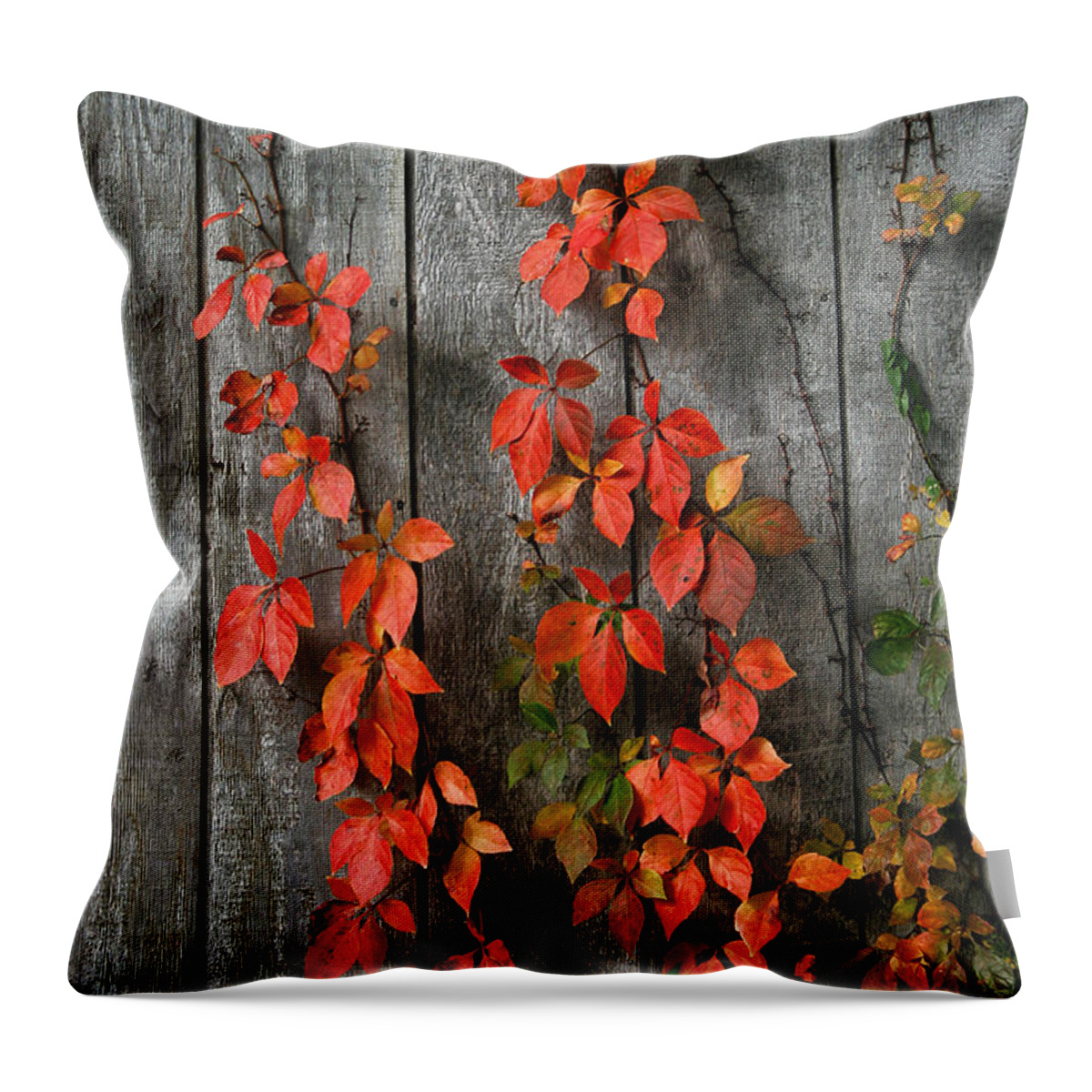 Vines Throw Pillow featuring the photograph Autumn Creepers by William Selander