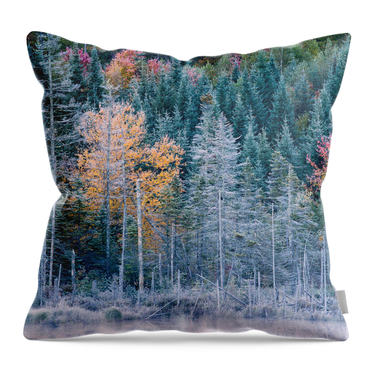 Autumn Throw Pillow featuring the photograph Autumn Frost by Jeff Sinon