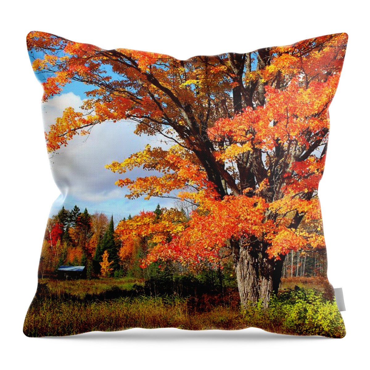 Fall Throw Pillow featuring the photograph Autumn Glory by Gigi Dequanne