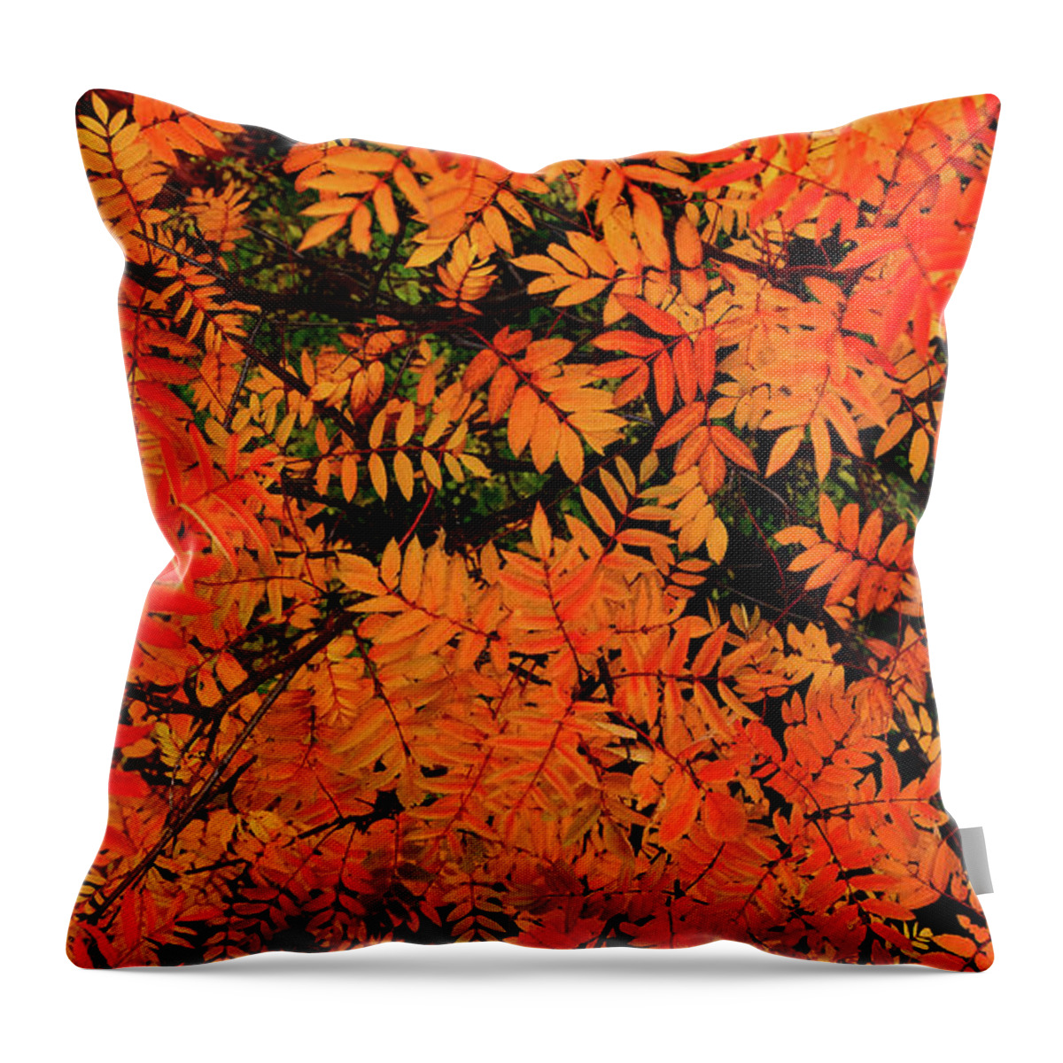  Throw Pillow featuring the digital art Autumn in Maple Creek by Darcy Dietrich