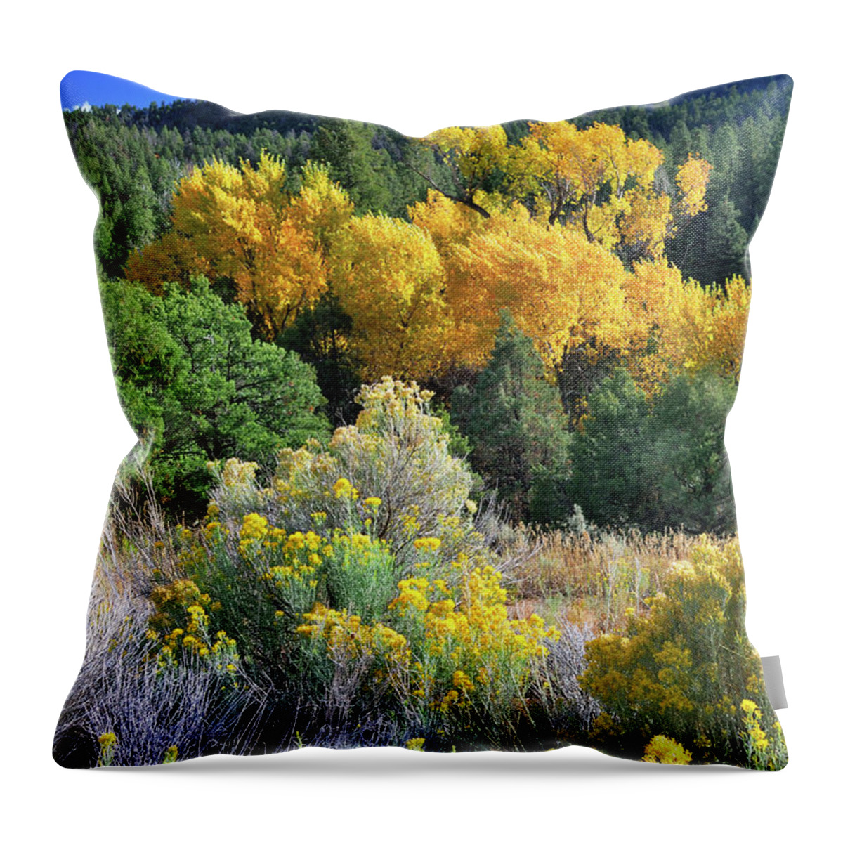 Landscape Throw Pillow featuring the photograph Autumn In The Canyon by Ron Cline