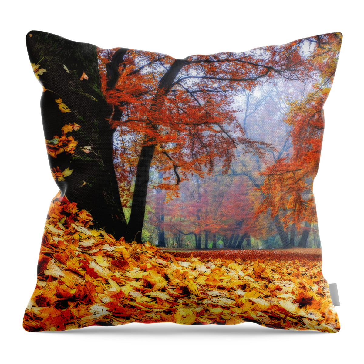 Autumn Throw Pillow featuring the photograph Autumn In The Woodland by Hannes Cmarits