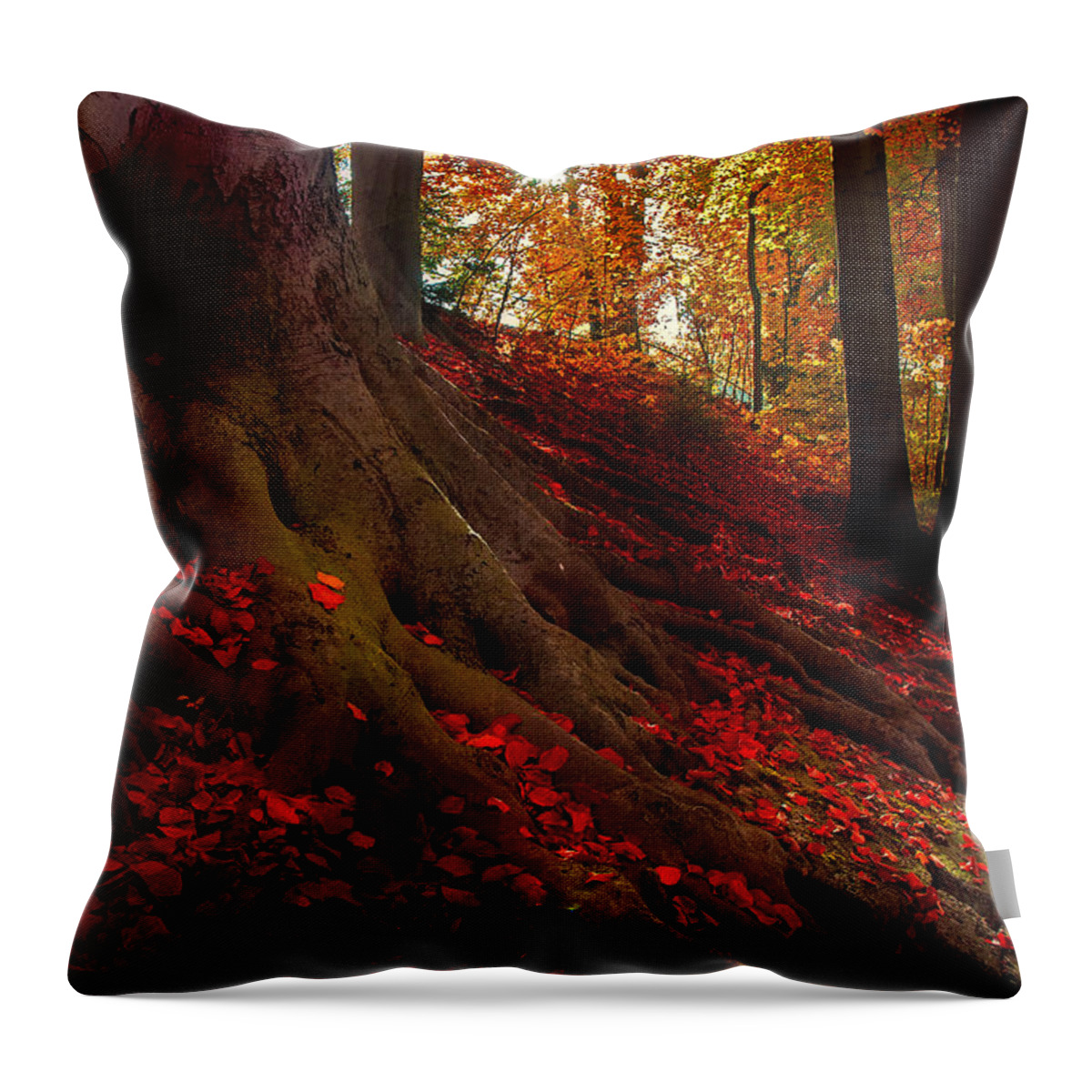 Autumn Throw Pillow featuring the photograph Autumn Light by Hannes Cmarits