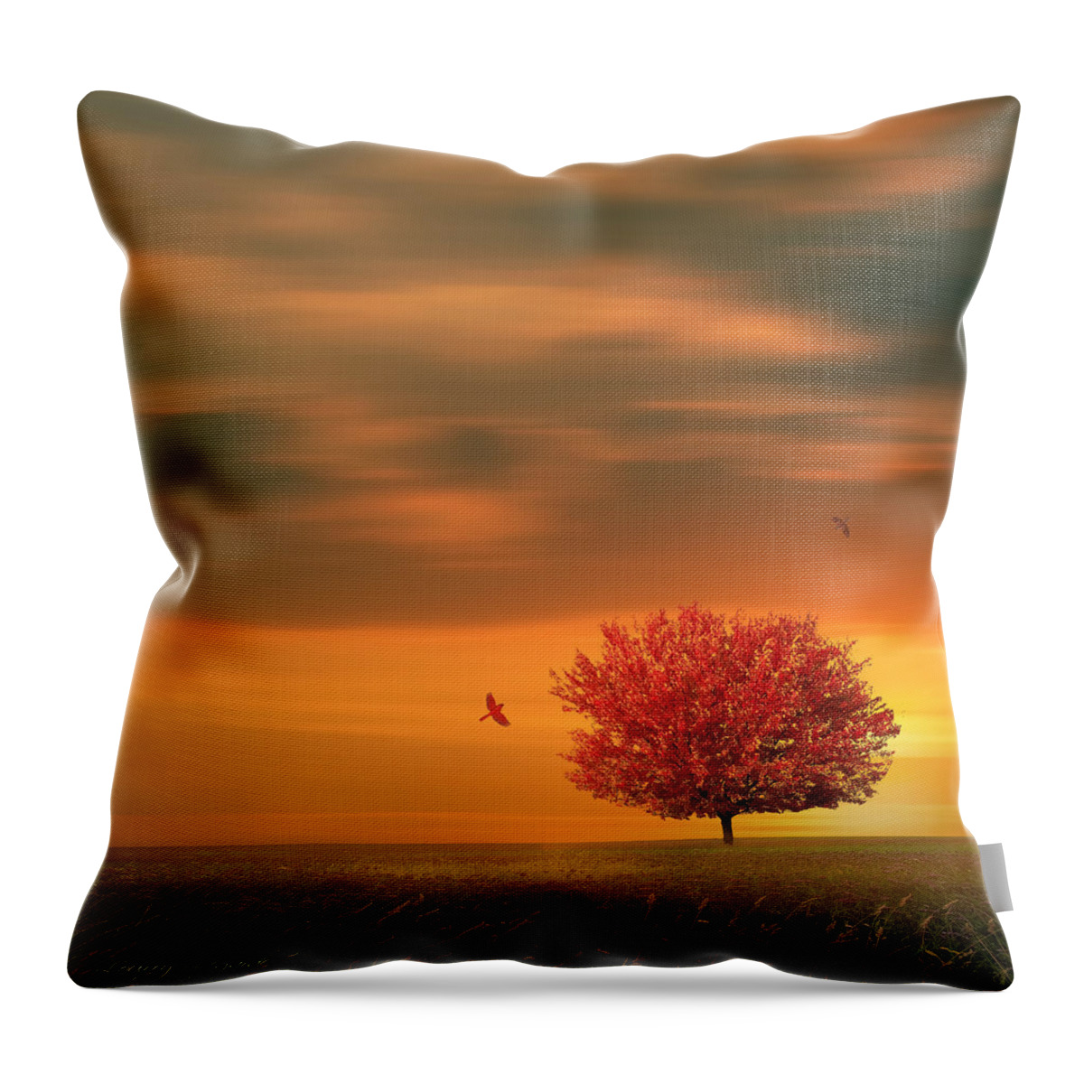 Four Seasons Throw Pillow featuring the photograph Autumn by Lourry Legarde