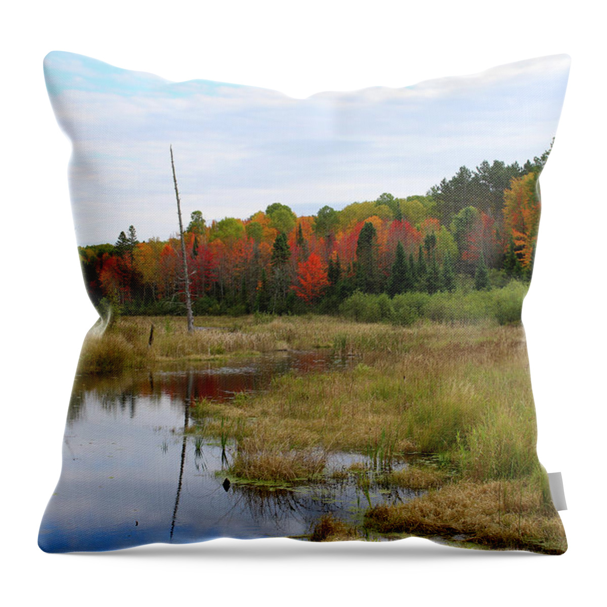 Autumn Throw Pillow featuring the photograph Autumn Marsh View by Brook Burling