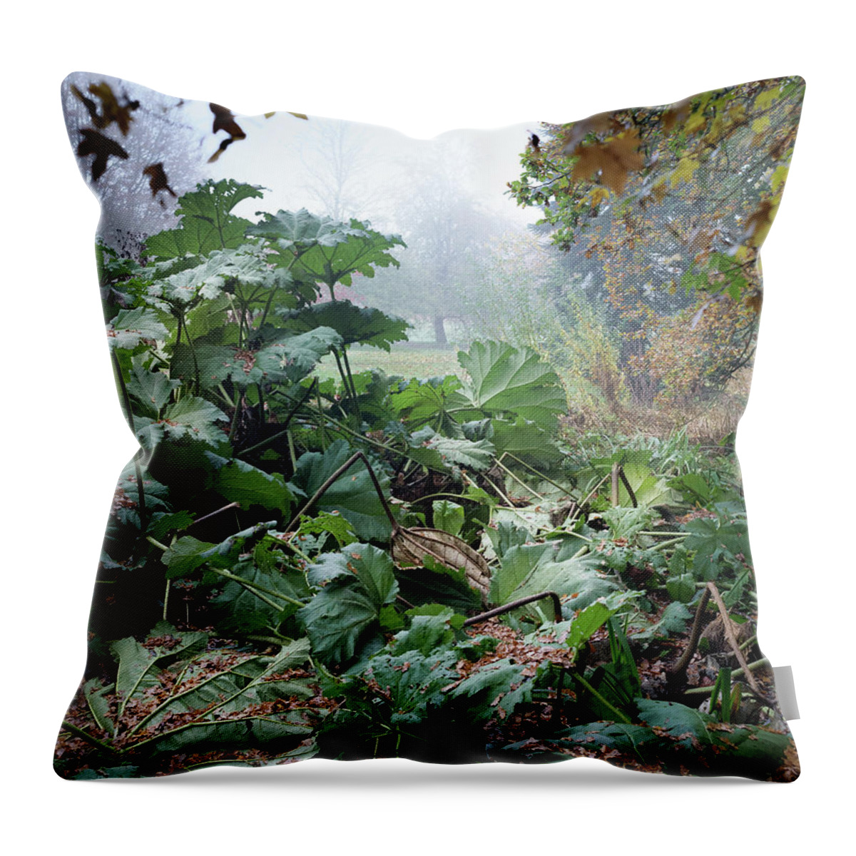 Autumn Throw Pillow featuring the photograph Autumn Mist, Great Dixter Garden by Perry Rodriguez