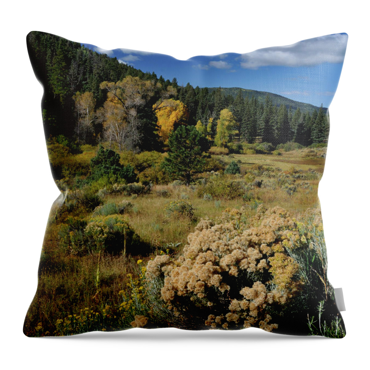 Landscape Throw Pillow featuring the photograph Autumn Morning In The Canyon by Ron Cline