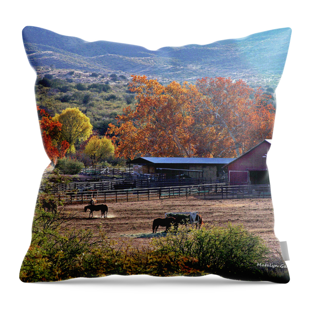 Ranch Throw Pillow featuring the photograph Autumn Ranch by Matalyn Gardner