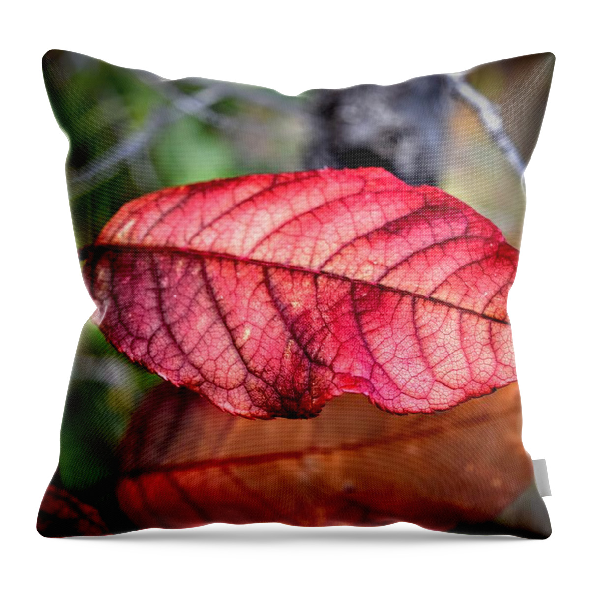 Autumn Throw Pillow featuring the photograph Autumn Red by Michael Brungardt
