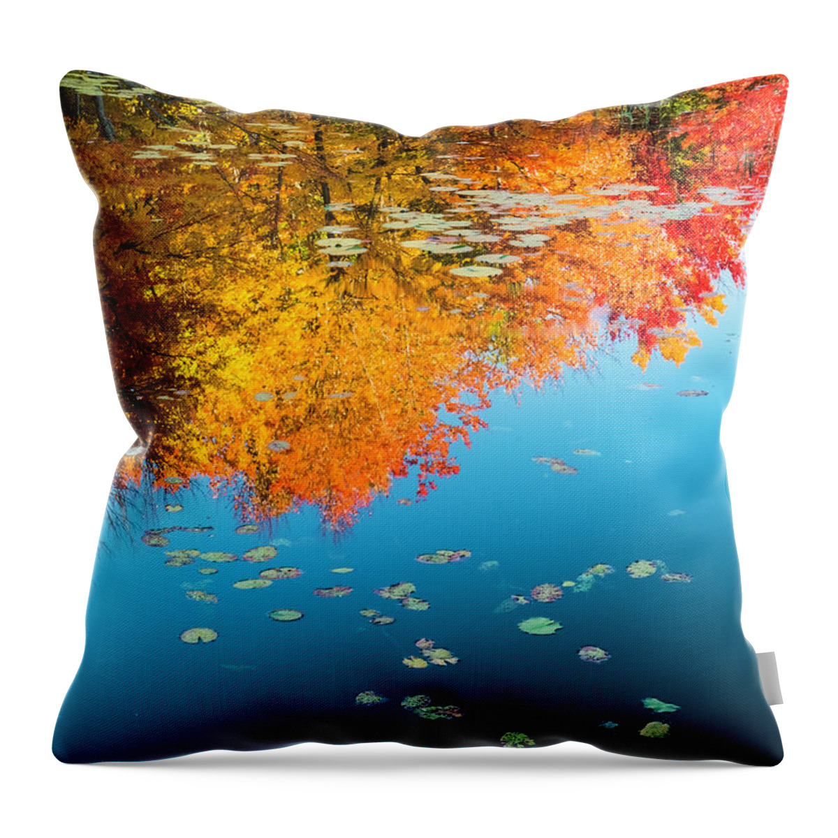 Intimate Landscape Throw Pillow featuring the photograph Autumn Reflections by John Roach