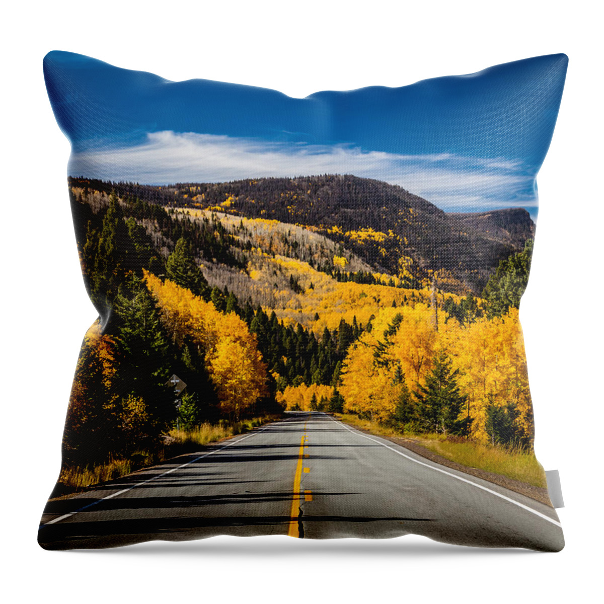 New Mexico Throw Pillow featuring the photograph Autumn Rockies by Ron Pate