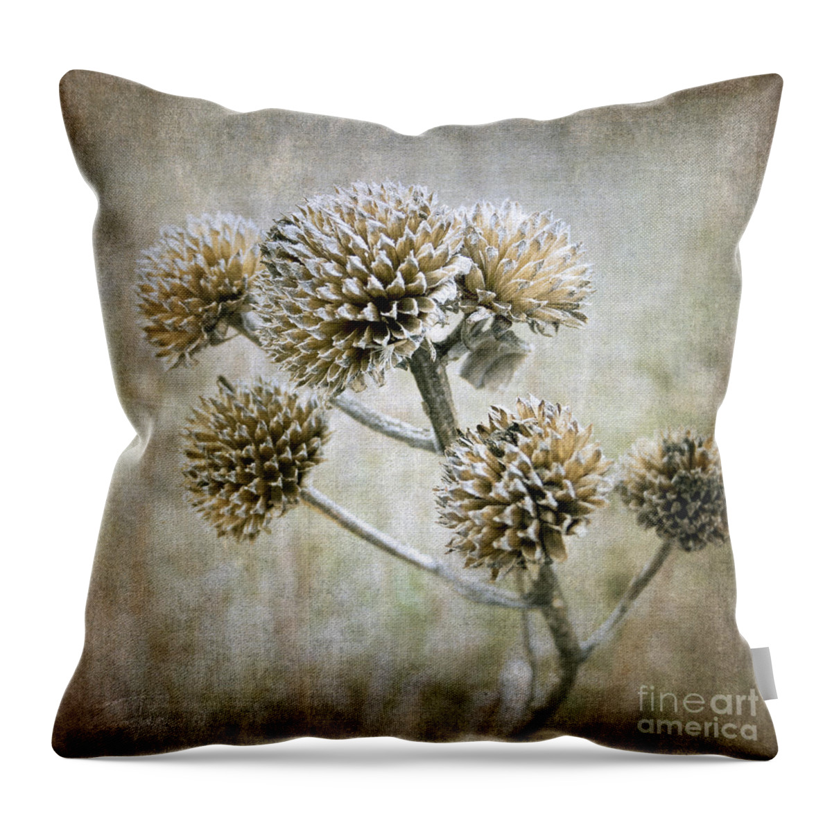 Autumn Throw Pillow featuring the photograph Autumn Seed Heads II by Tamara Becker