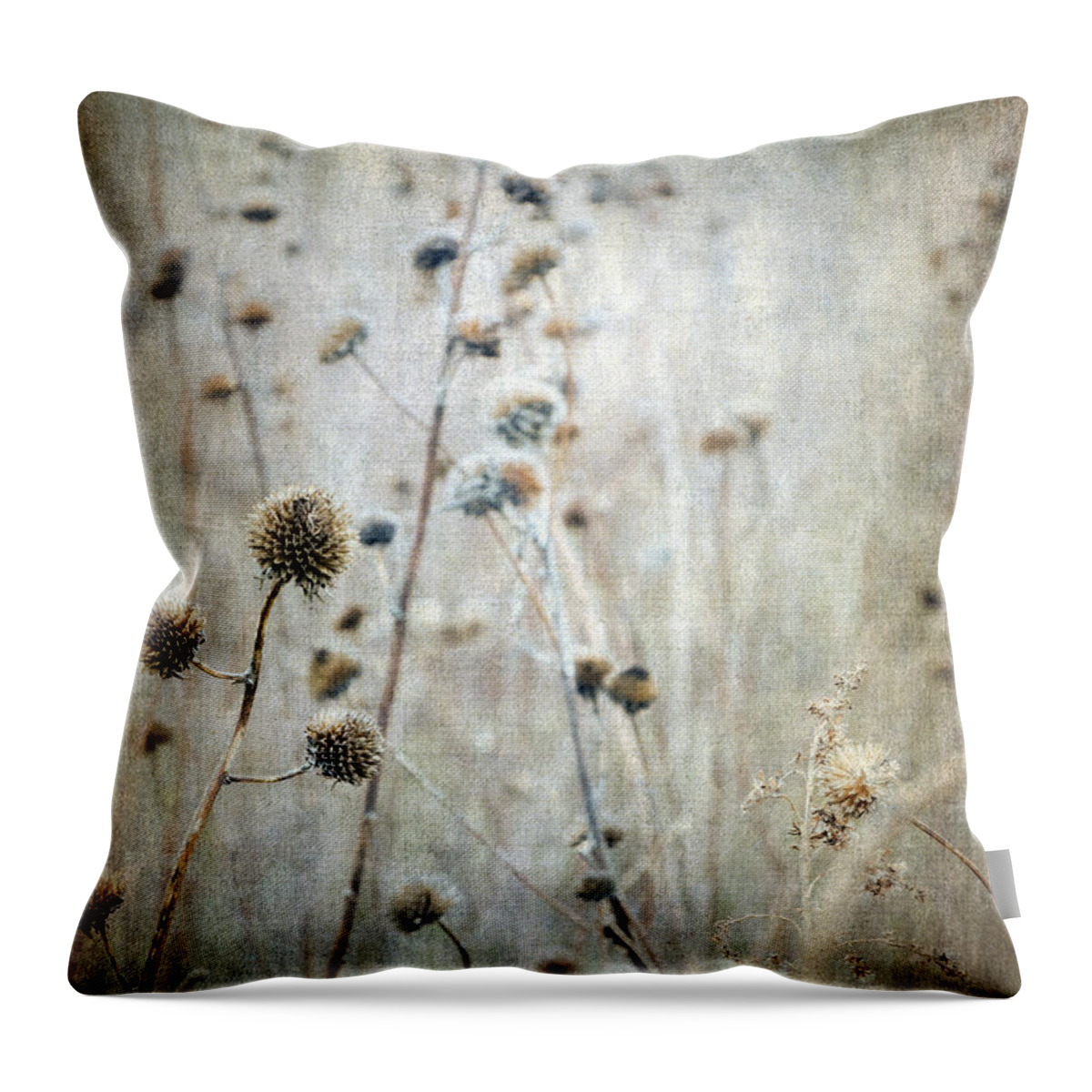 Autumn Throw Pillow featuring the photograph Autumn Seed Heads VI by Tamara Becker