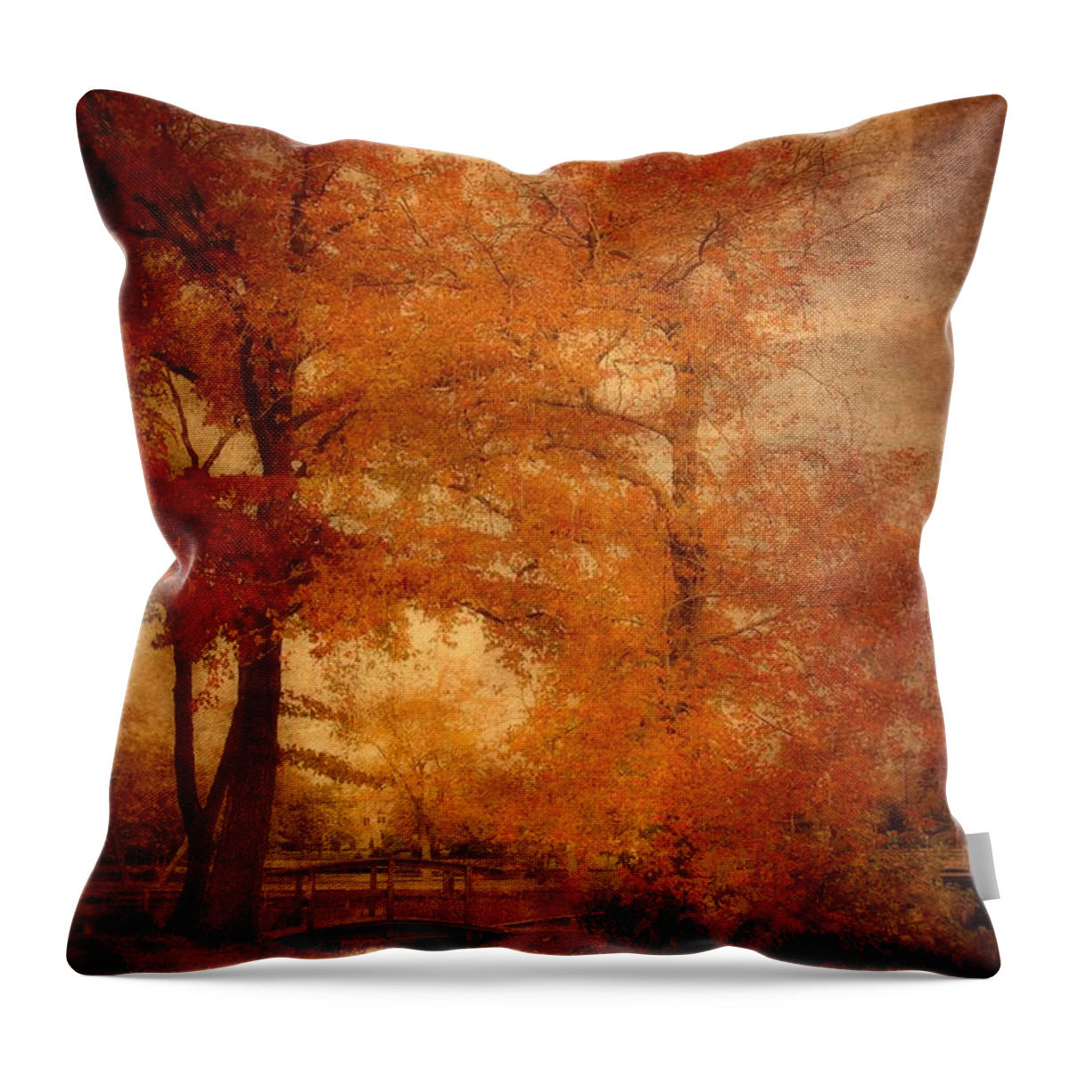 Autumn Landscapes Throw Pillow featuring the photograph Autumn Tapestry - Lake Carasaljo by Angie Tirado