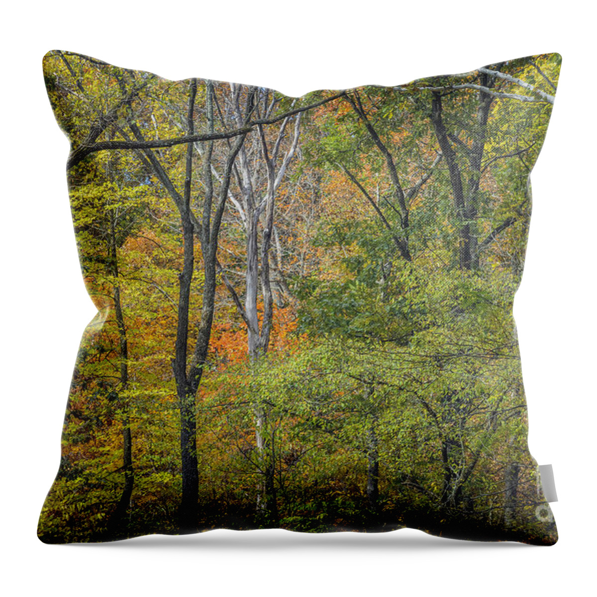 Autumn Throw Pillow featuring the photograph Autumn Tapestry by Tamara Becker