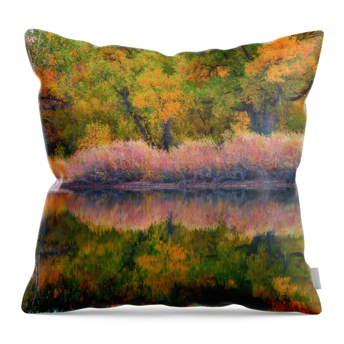 Fall Colors Throw Pillow featuring the photograph Autumn's Color Palette by Darren White