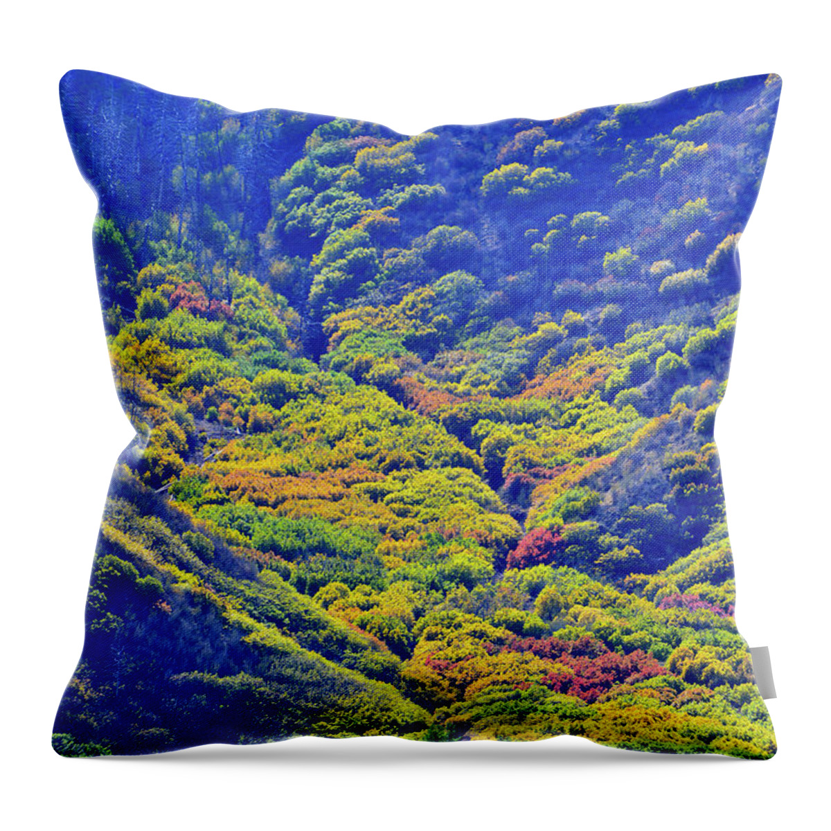 Colorado Throw Pillow featuring the photograph Avalanche of Fall Color in Glenwood Springs by Ray Mathis