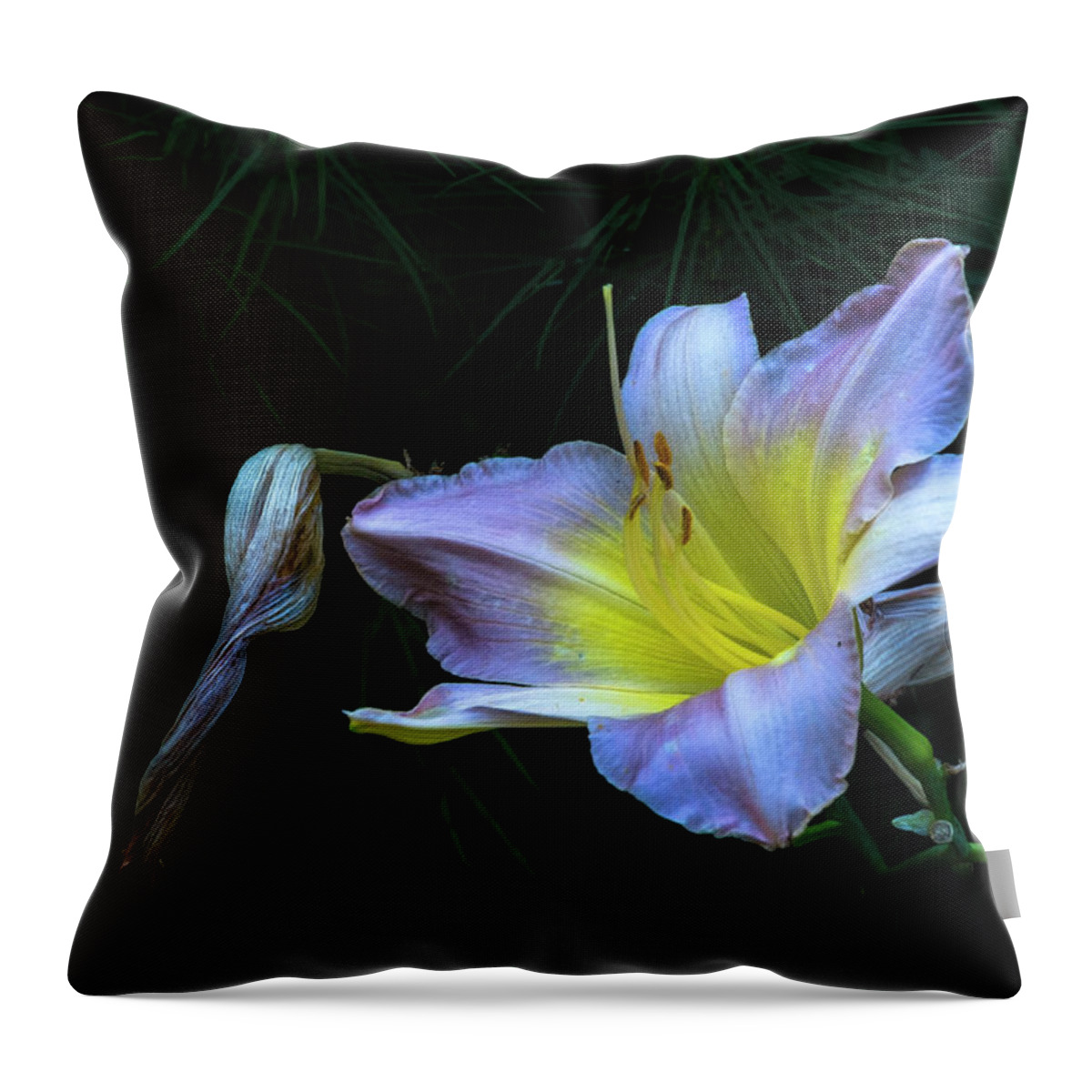 Hayward Garden Putney Vermont Throw Pillow featuring the photograph Awesome Daylily by Tom Singleton