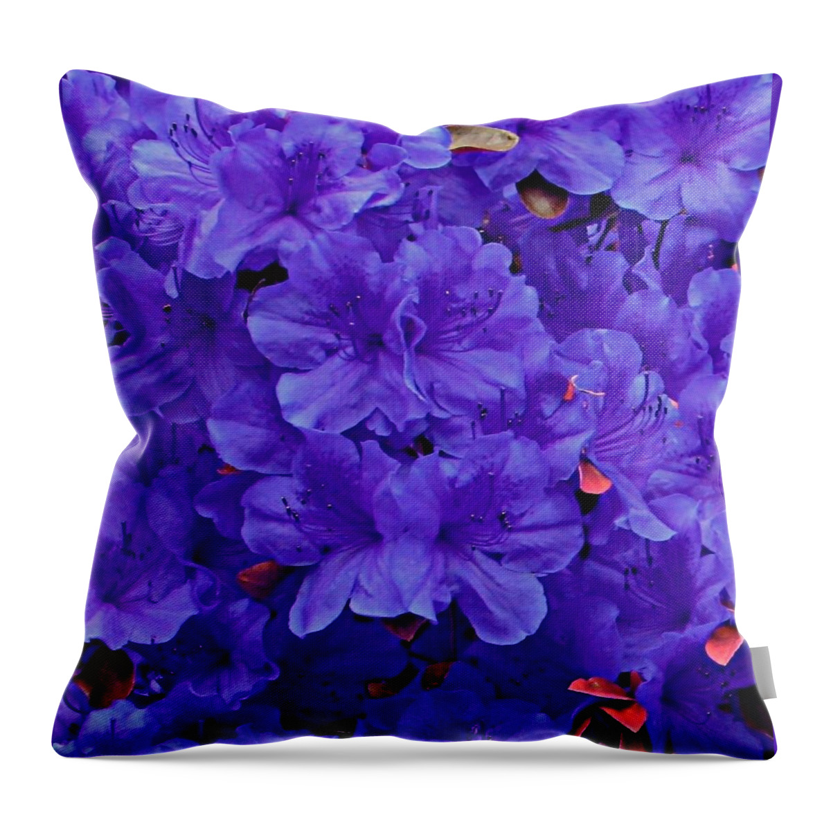 Royal Purple Cushion