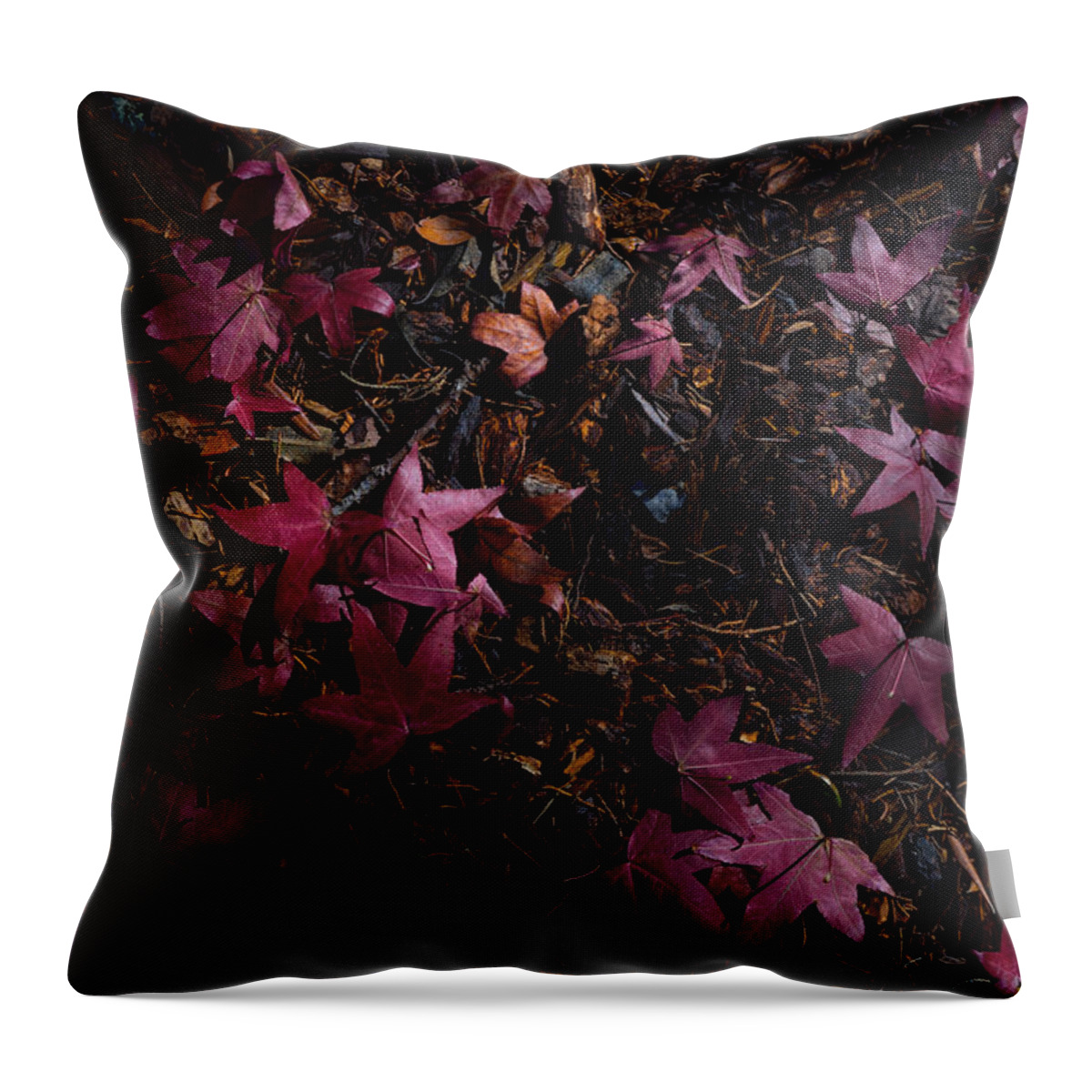 Fall Throw Pillow featuring the photograph Back to the Earth by Derek Dean