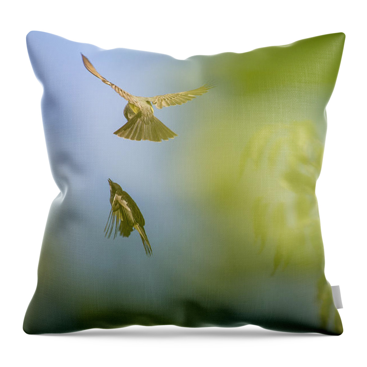 Abstract Throw Pillow featuring the photograph Backyard by Amanda Rimmer